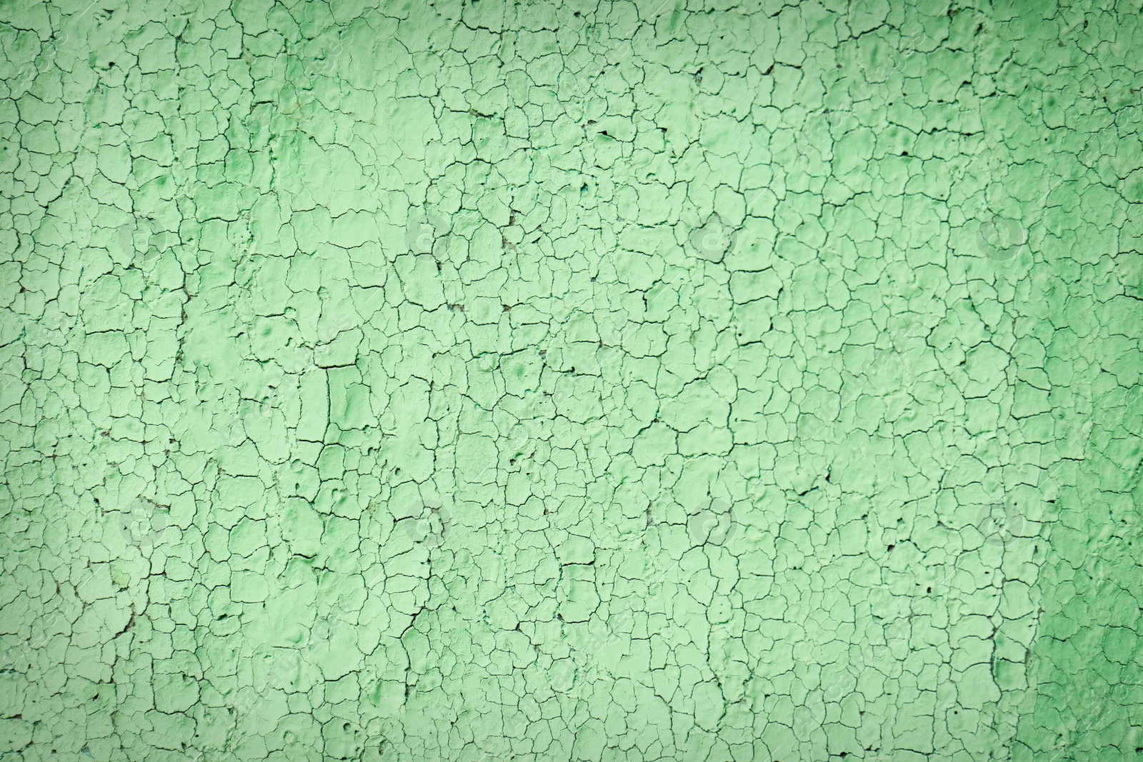 Photo of Texture of cracked light green wall as background, closeup