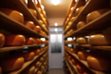 Photo of Blurred view of factory warehouse with fresh cheese heads on racks