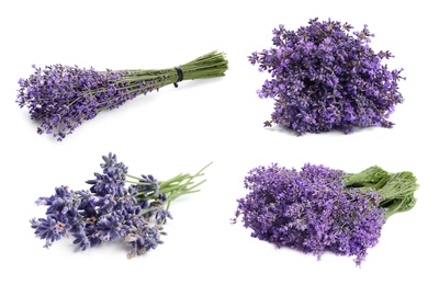 Image of Set of lavender flowers on white background