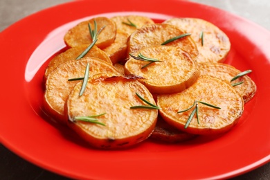 Closeup view of plate with sweet potato fries