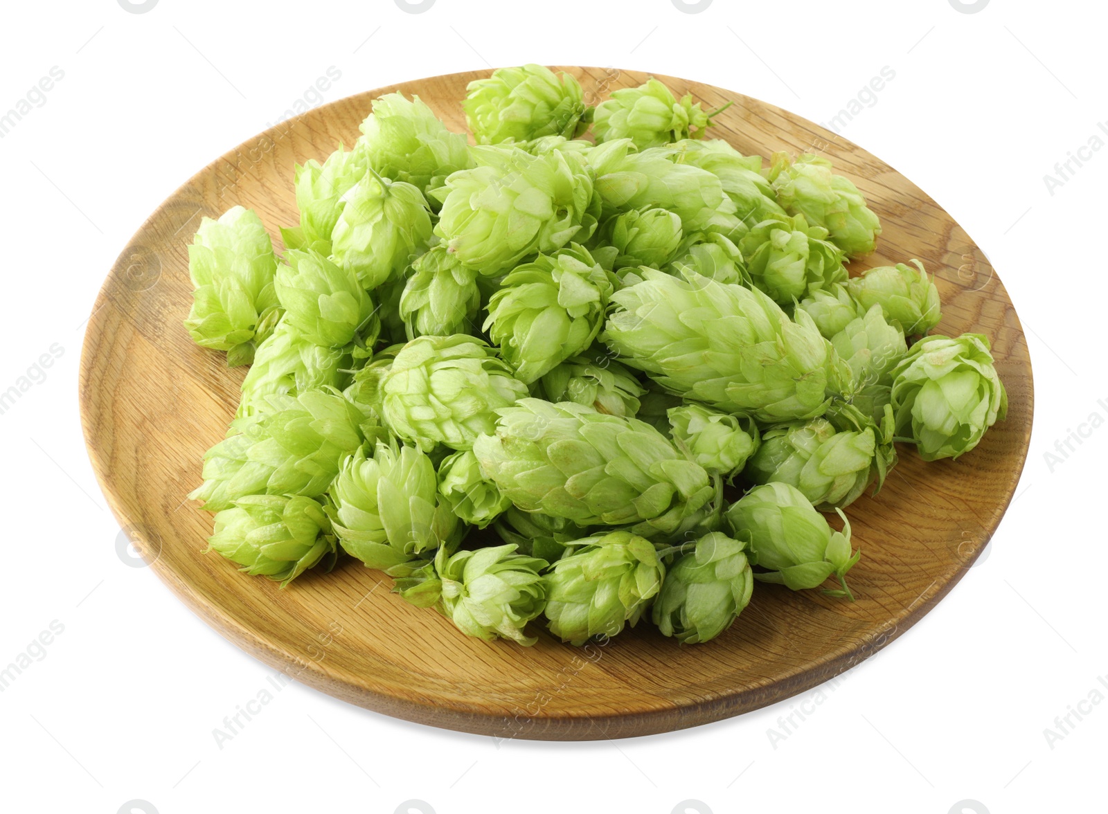 Photo of Many fresh green hops on white background