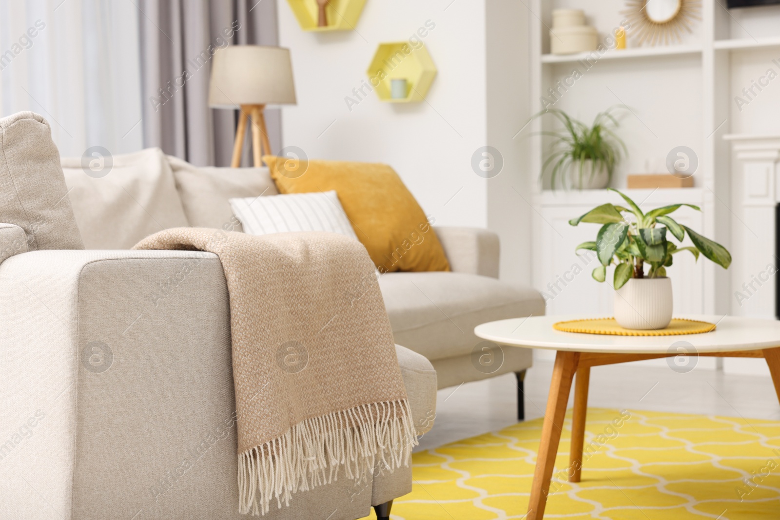 Photo of Spring atmosphere. Cosy furniture and potted plants in stylish room