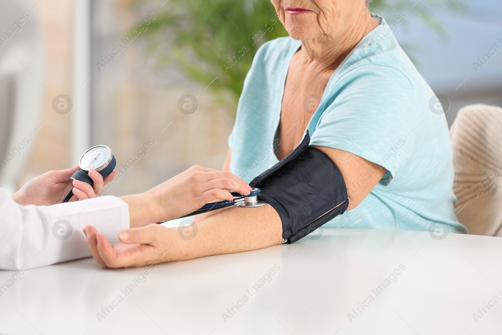 Photo of Nurse measuring blood pressure of elderly woman indoors, closeup. Assisting senior generation