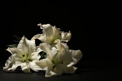 Beautiful lilies on dark background with space for text. Funeral flowers