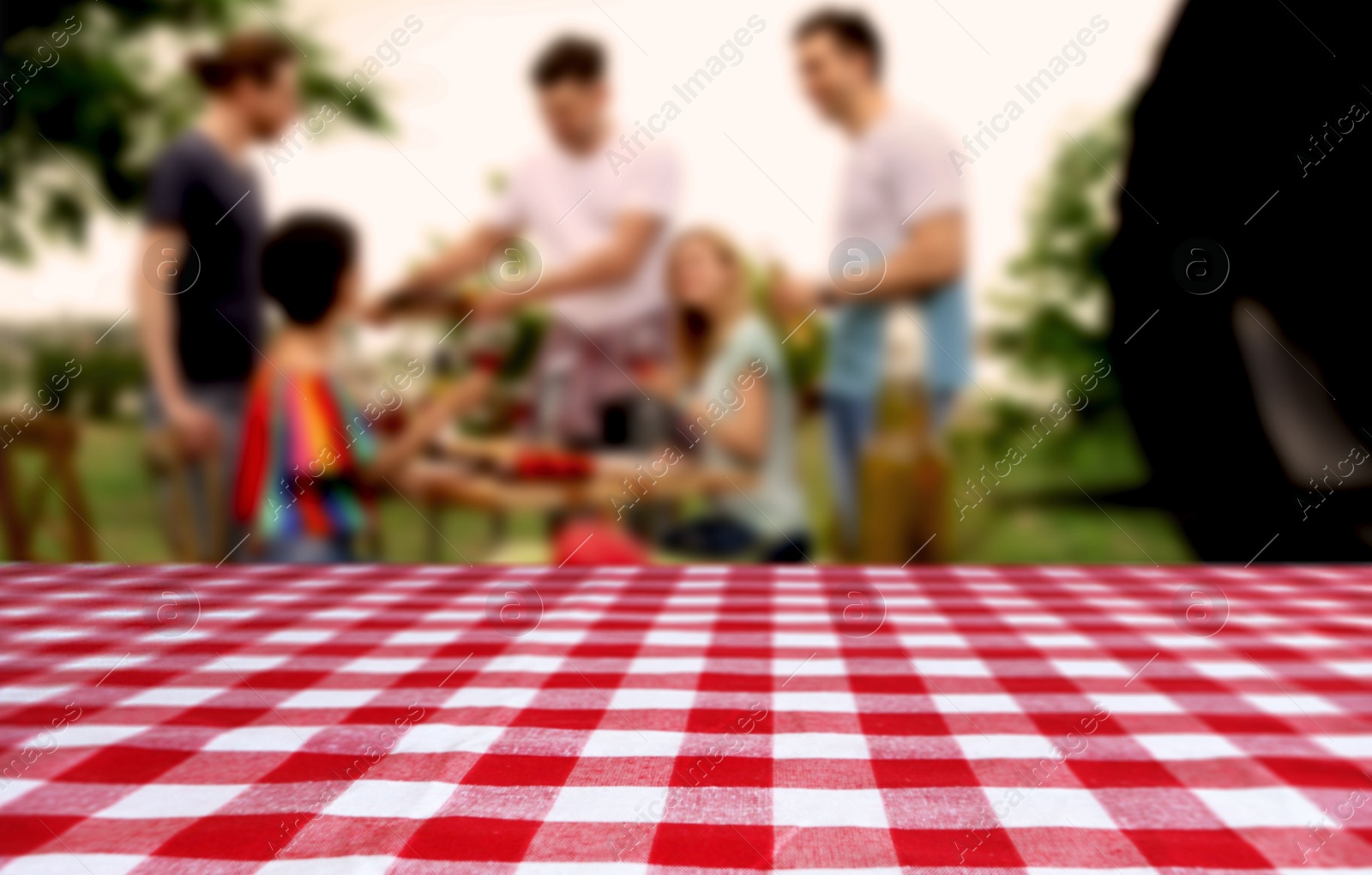 Image of Table with checkered picnic cloth outdoors on sunny day. Space for design