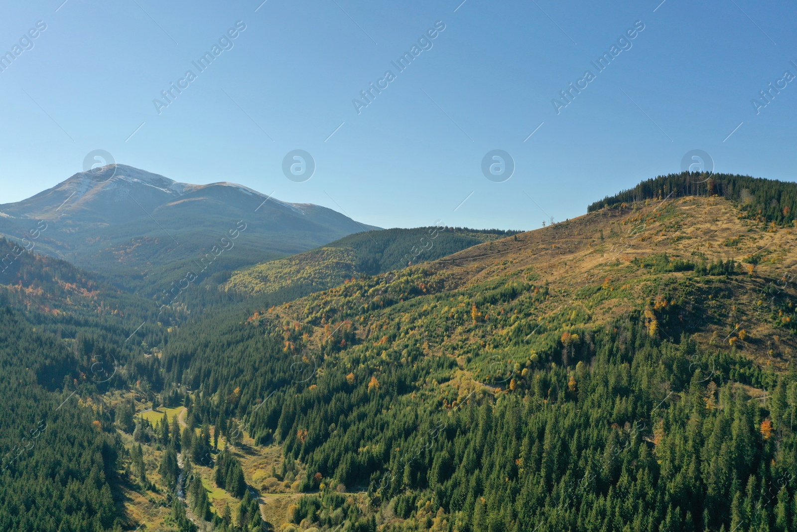 Photo of Beautiful mountains covered with forest on sunny day. Drone photography