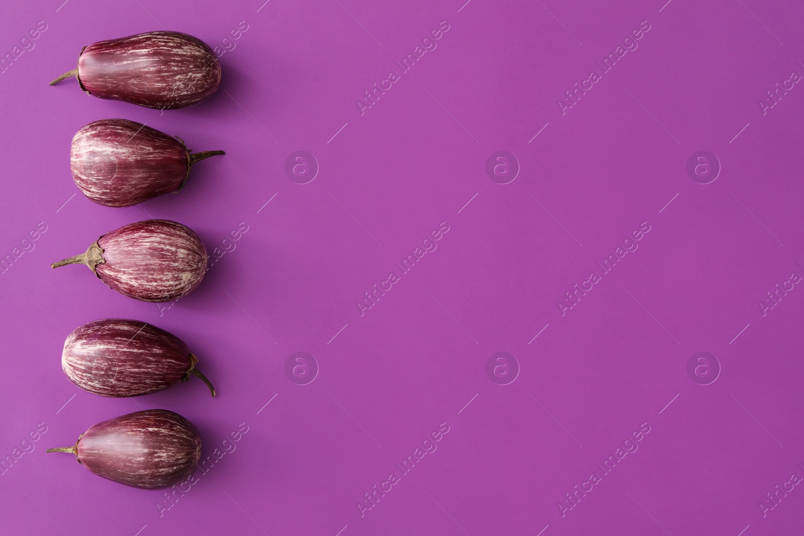 Photo of Raw ripe eggplants on purple background, flat lay. Space for text