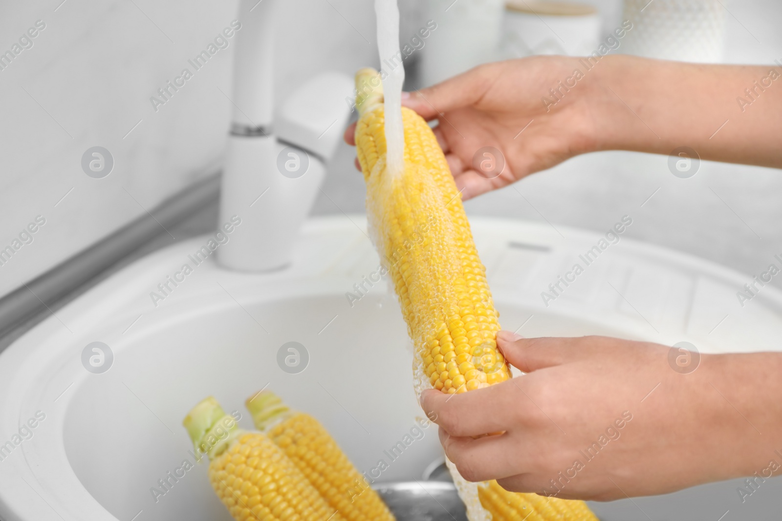 Photo of Woman washing corn ear in kitchen sink, focus on hands