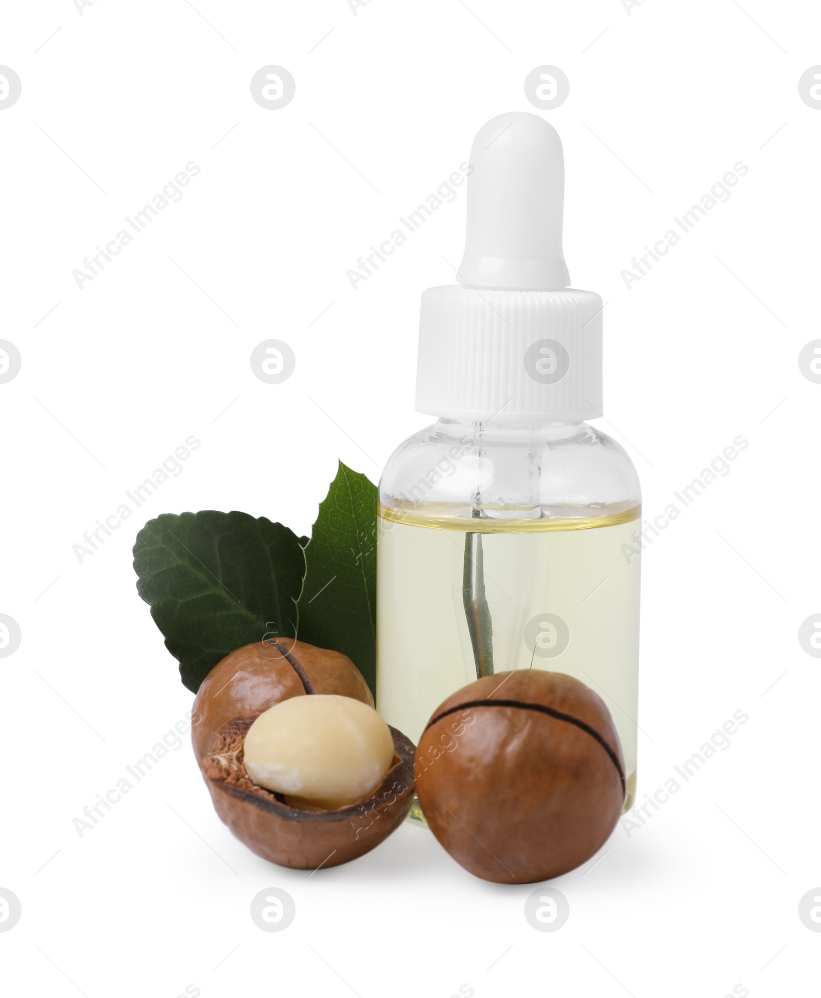 Photo of Delicious organic Macadamia nuts, natural oil and green leaves isolated on white