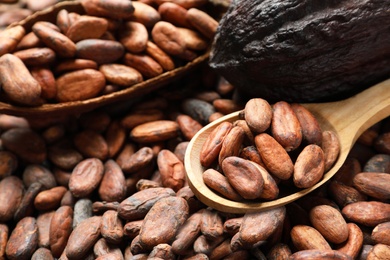 Photo of Wooden spoon and pods on cocoa beans, closeup