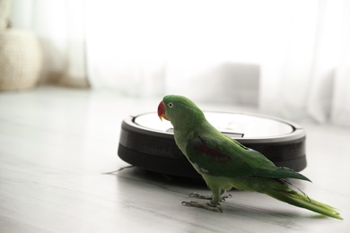 Photo of Modern robotic vacuum cleaner and Alexandrine parakeet on floor indoors