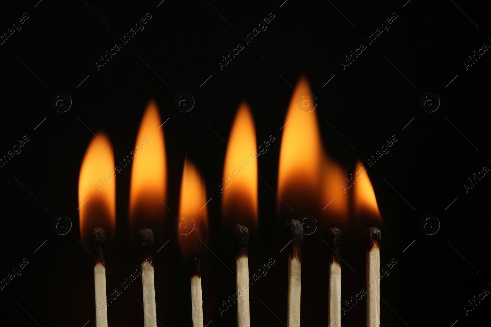Photo of Line of burning matches on black background