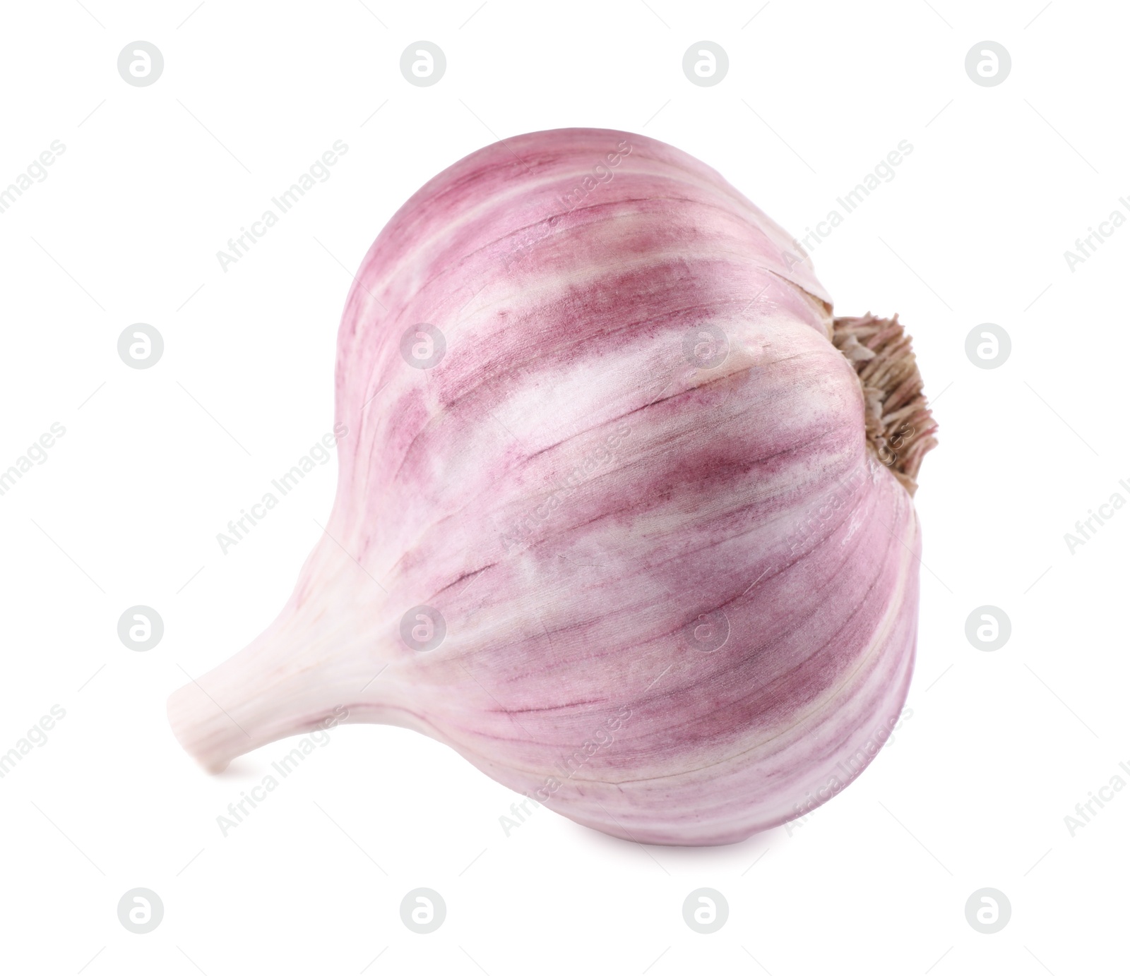 Photo of Fresh raw garlic head isolated on white