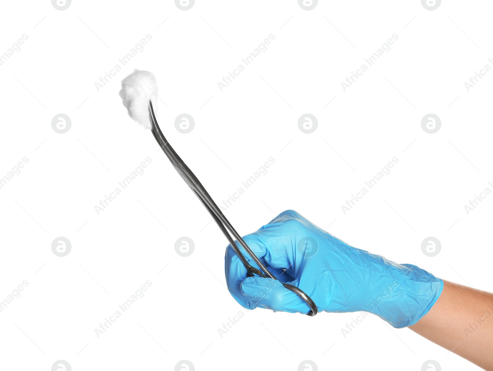 Photo of Doctor in sterile glove holding medical clamp with cotton ball on white background