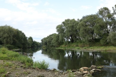 Photo of Picturesque view of clean river and trees in countryside