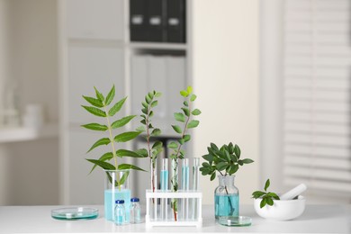 Photo of Many glass tubes with leaves on white table indoors