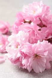 Photo of Beautiful sakura tree blossoms on grey stone table, closeup