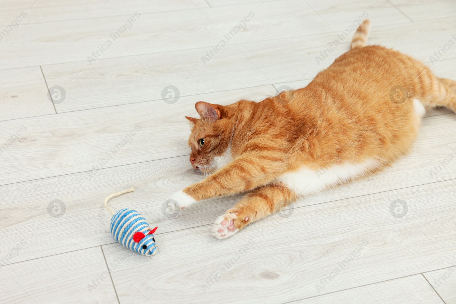 Photo of Cute ginger cat playing with sisal toy mouse at home