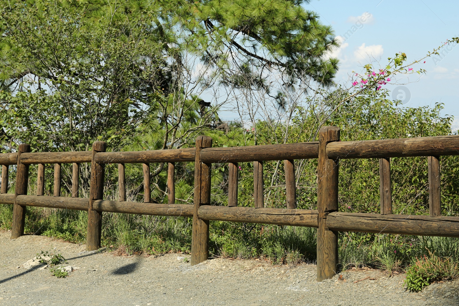 Photo of Wooden fence near beautiful trees and plants outdoors