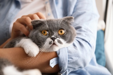 Woman stroking her cat at home, closeup