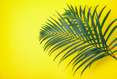 Beautiful lush tropical leaves on yellow background. Space for text
