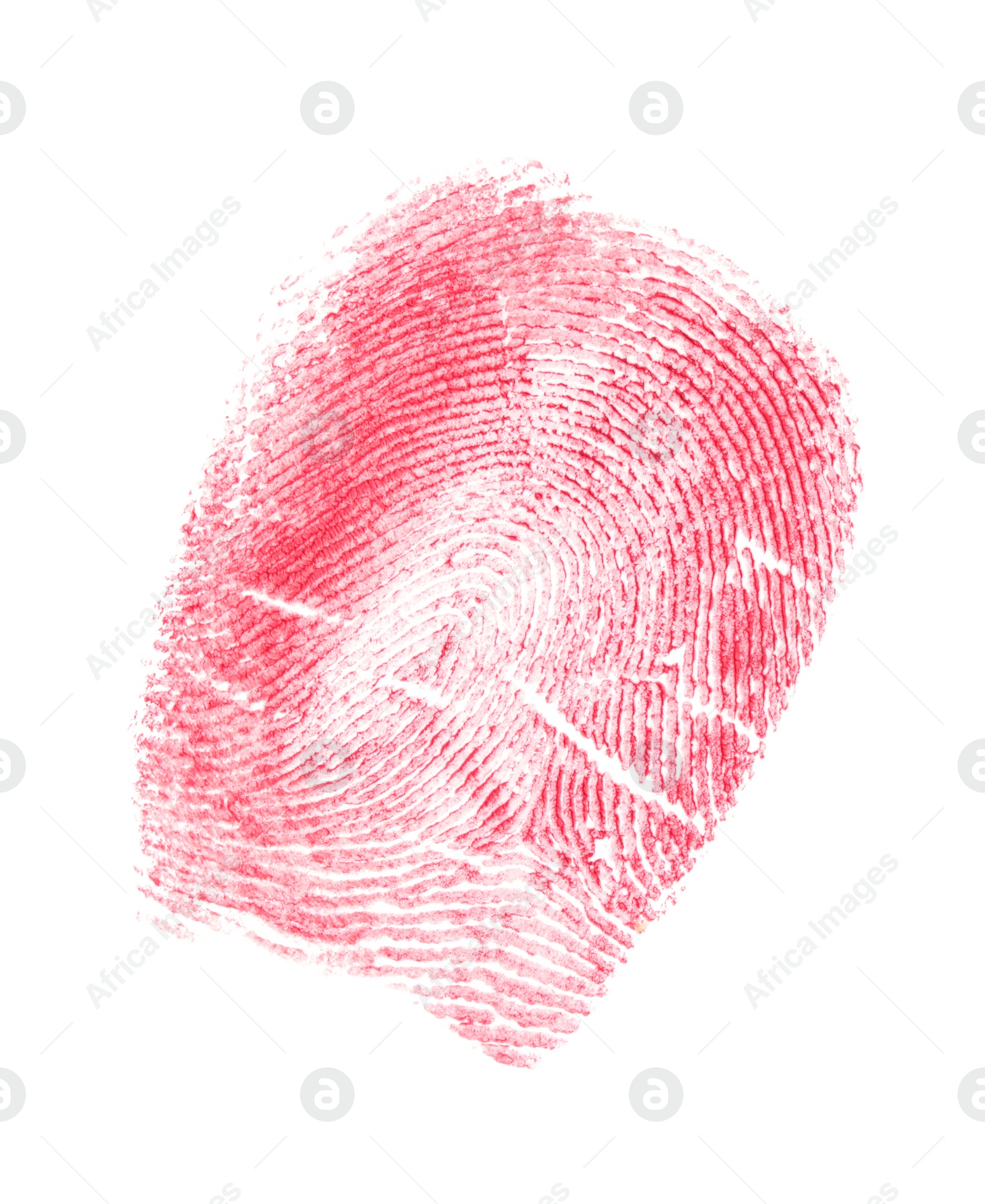 Photo of Fingerprint made with blood on white background, top view