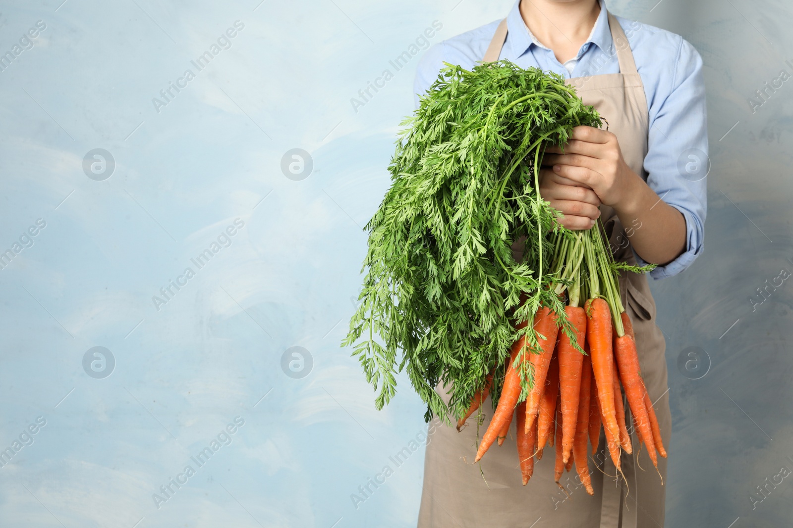 Photo of Woman holding fresh ripe carrots against color background. Space for text