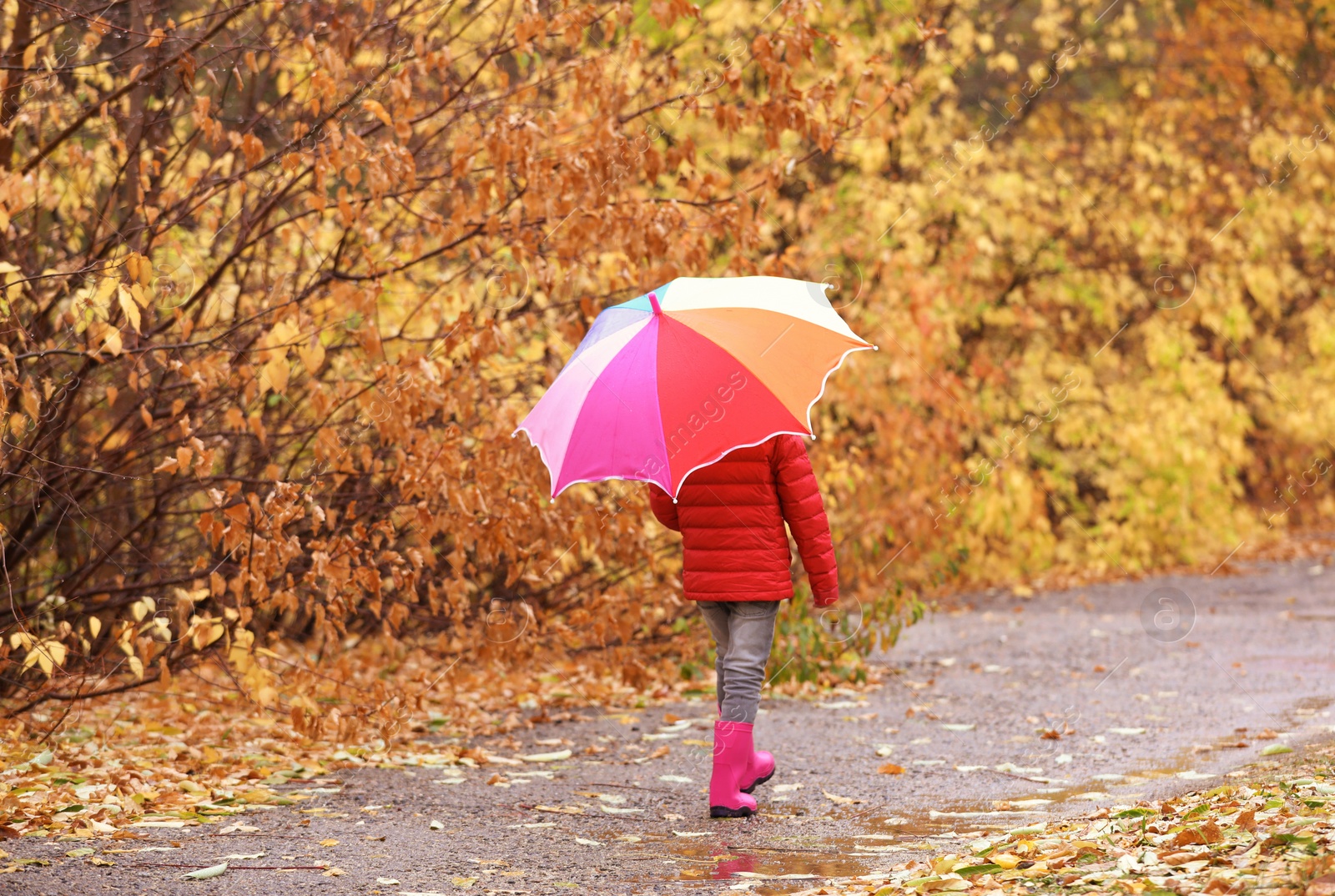 Photo of Little girl with umbrella taking walk in autumn park on rainy day