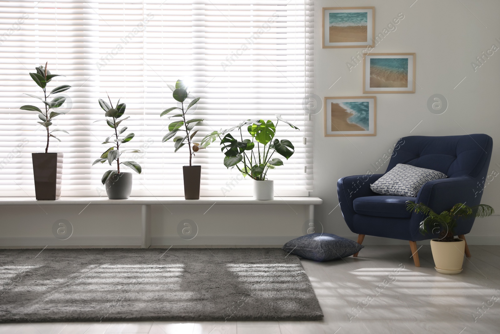 Photo of Beautiful potted plants on window sill at home