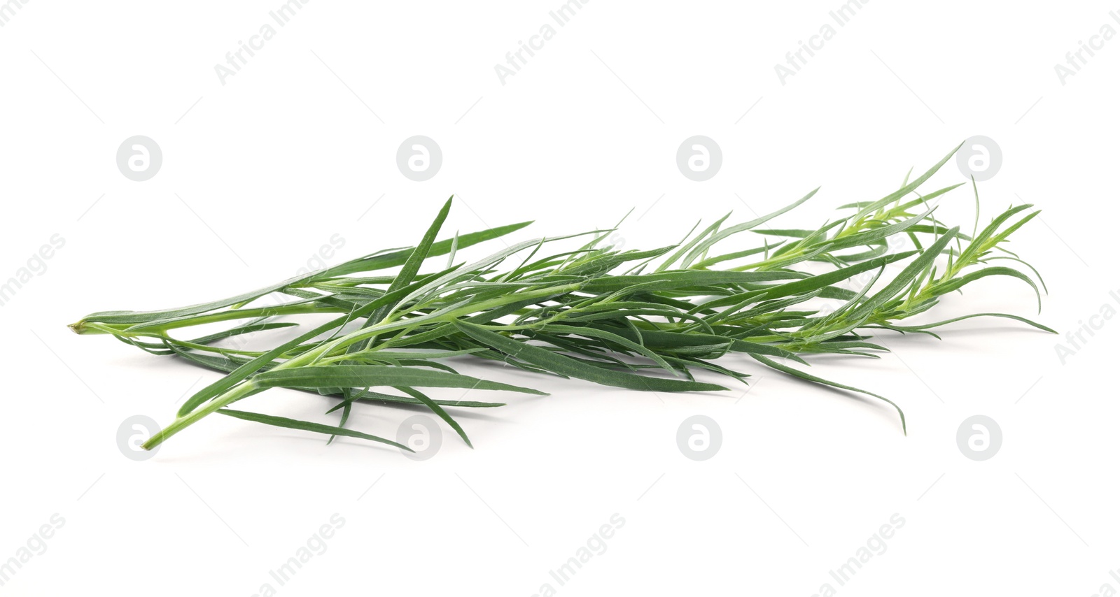 Photo of Sprigs of fresh tarragon on white background