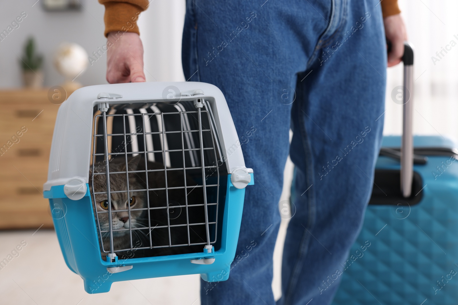 Photo of Travel with pet. Man holding carrier with cute cat and suitcase at home, closeup