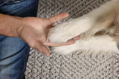 Photo of Man holding dog's paw on blanket, top view