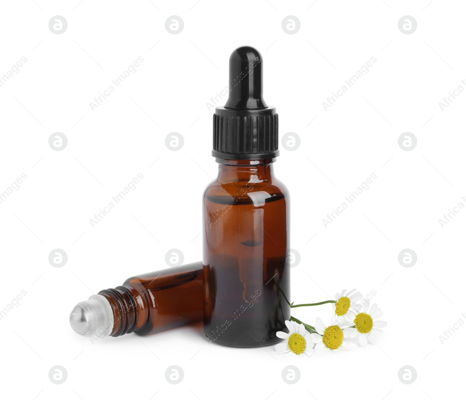 Photo of Bottles of essential oil and fresh chamomiles isolated on white