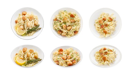 Set of different dishes with scallops isolated on white, top and side views