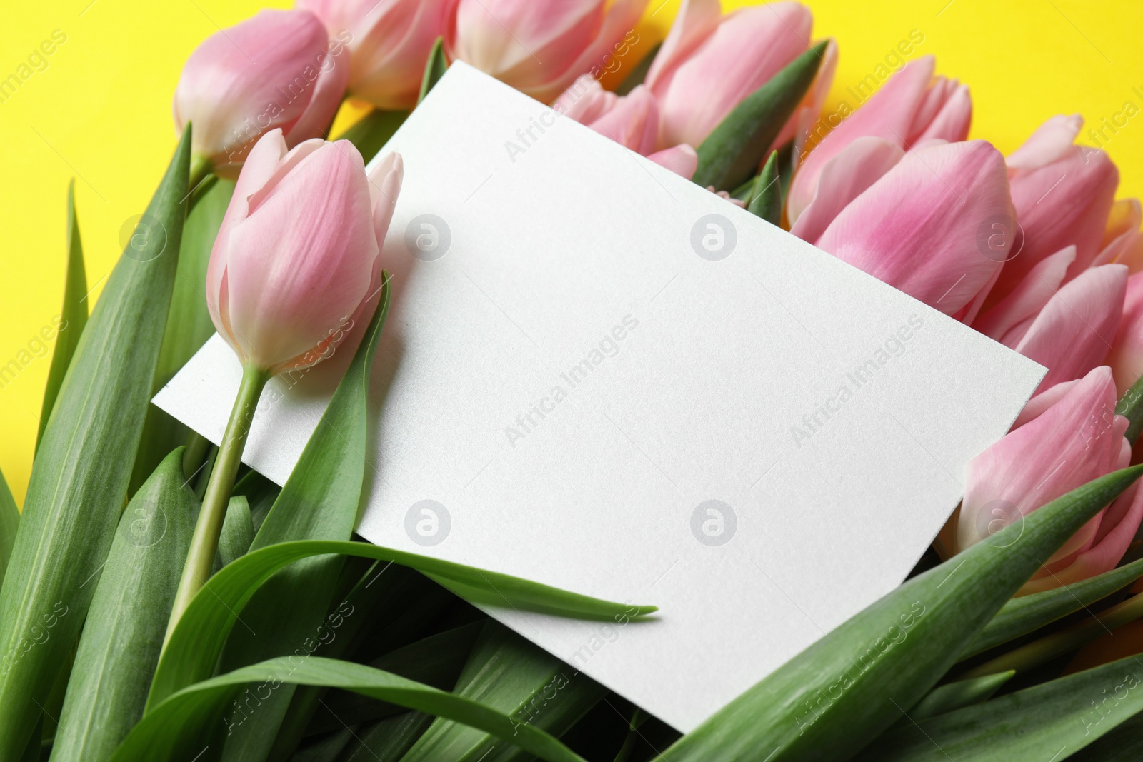 Photo of Beautiful pink spring tulips and blank card on yellow background, closeup. Space for text