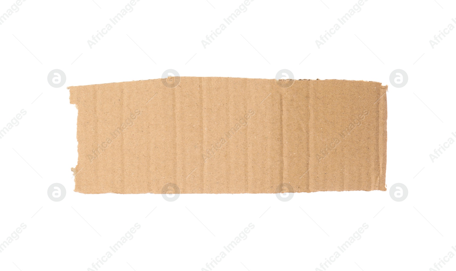 Photo of Piece of torn cardboard isolated on white