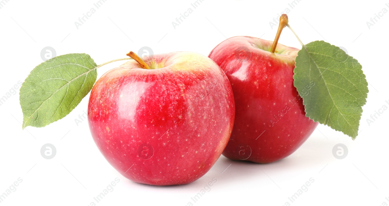 Photo of Fresh ripe red apples isolated on white