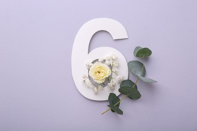 Paper number 6, beautiful flowers and eucalyptus branch on light grey background, top view