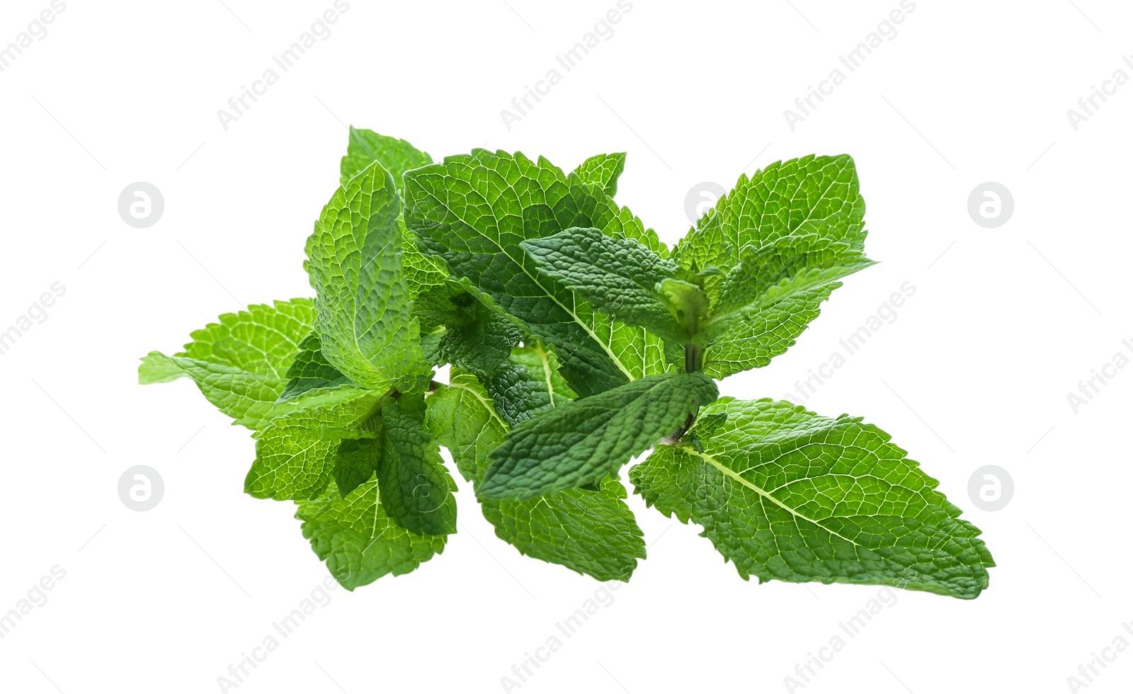 Photo of Fresh green mint leaves on white background