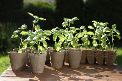 Beautiful seedlings in peat pots on wooden table outdoors