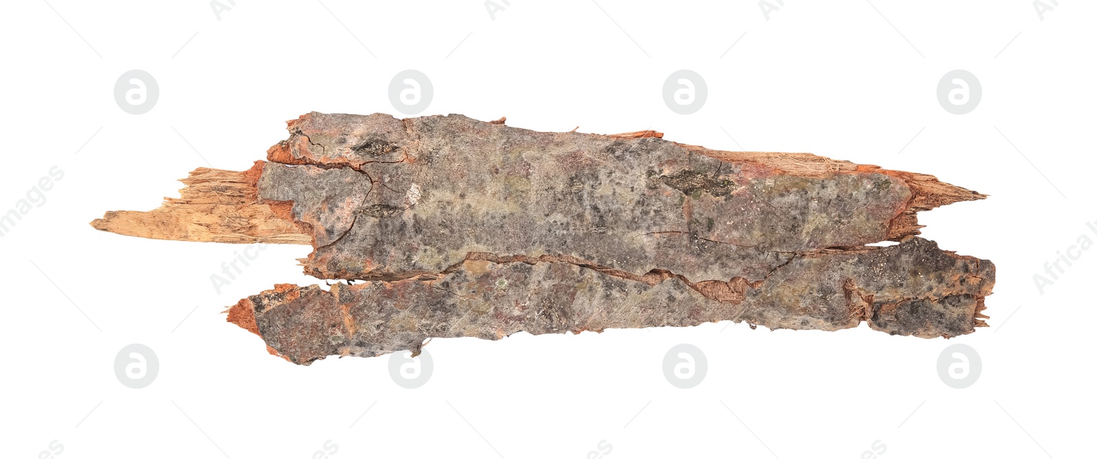 Photo of Tree bark piece isolated on white, top view