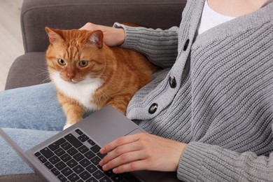 Photo of Woman with cat working in armchair at home , closeup