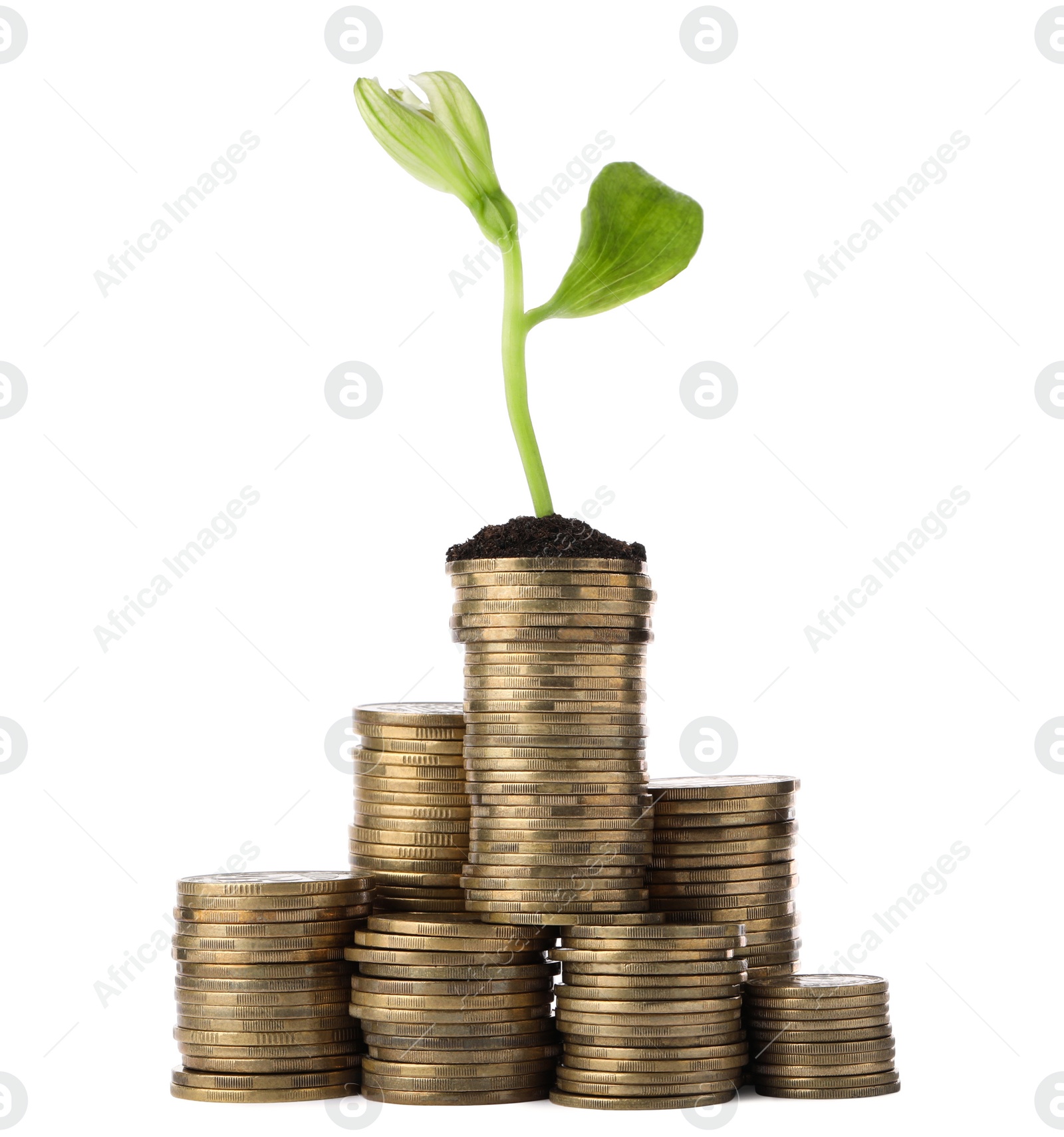Photo of Stacks of coins with flower isolated on white. Investment concept