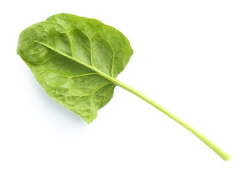 Fresh leaf of spinach isolated on white, top view