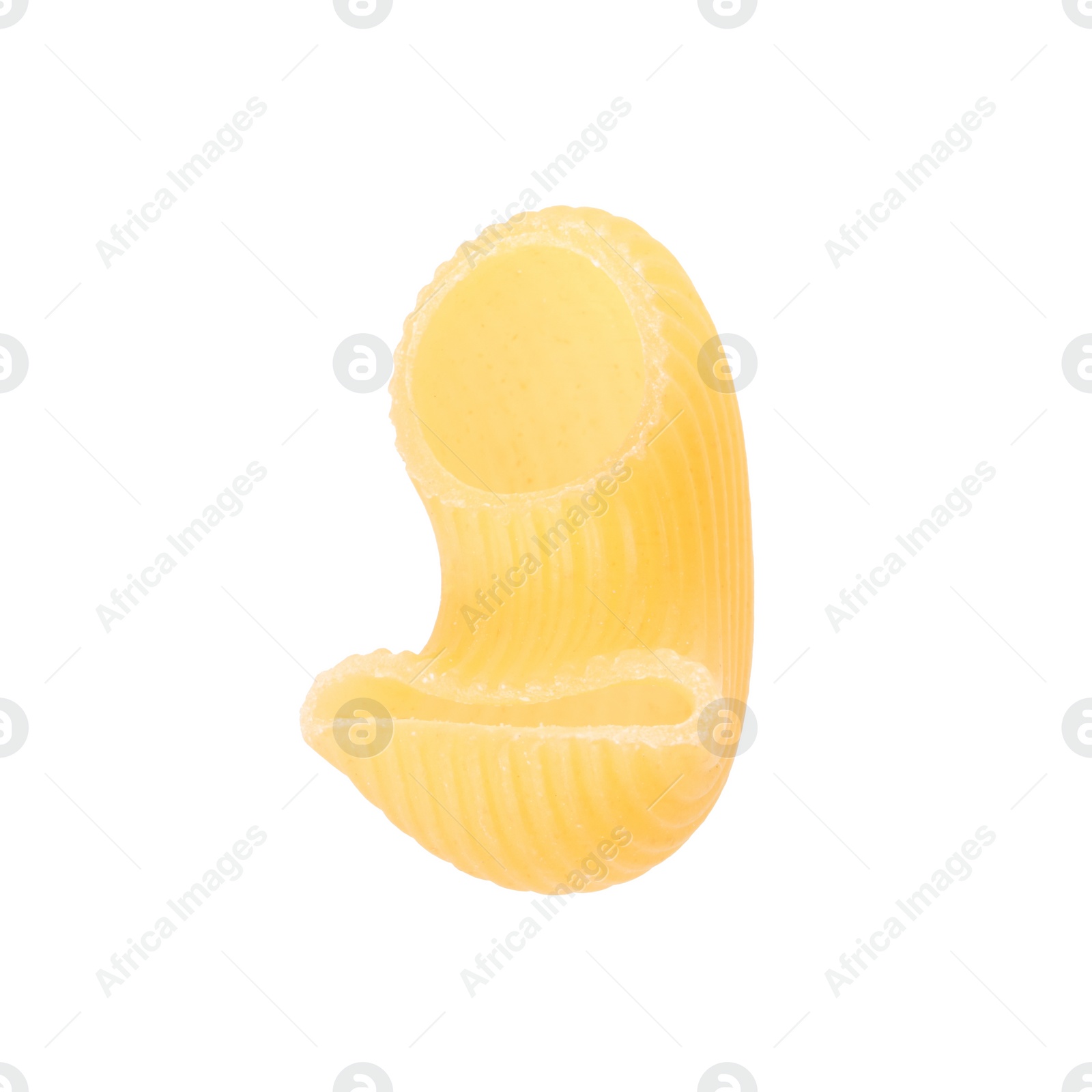 Photo of One piece of raw horns pasta isolated on white