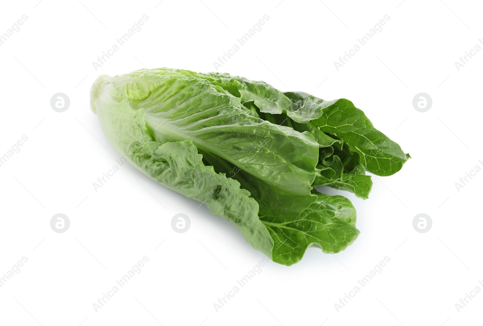 Photo of Fresh green romaine lettuce isolated on white