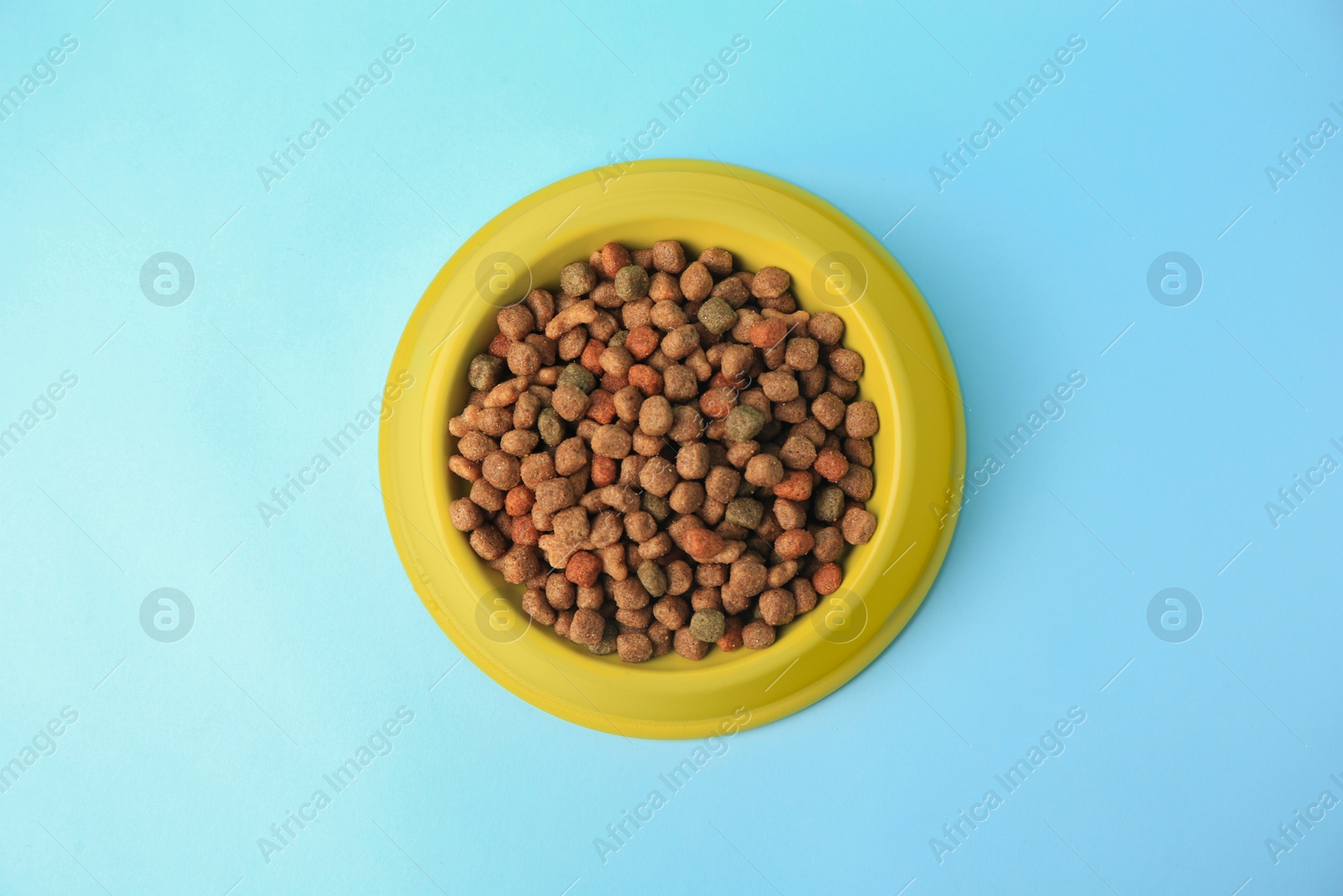 Photo of Dry pet food in feeding bowl on light blue background, top view