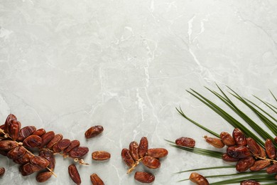 Tasty sweet dried dates and palm leaf on grey table, flat lay. Space for text