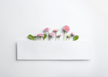 Photo of Flat lay composition with blooming daisies and space for text on white background. Spring flowers