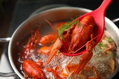 Spoon with fresh delicious crayfish over pot, closeup